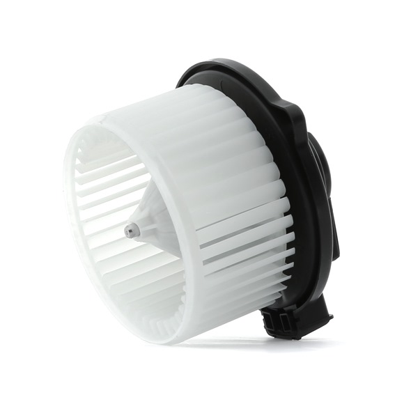 Dmuchawa RIDEX 2669I0110
