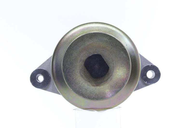 Lichtmaschine 10443884 ALANKO 6A83059250