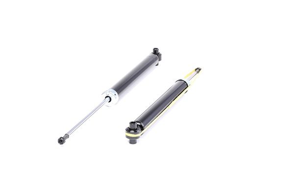RIDEX 854S1658 2 Ammortizzatori Posteriori A Gas Per Renault Megane II/III: Kit Assale Posteriore - copertina