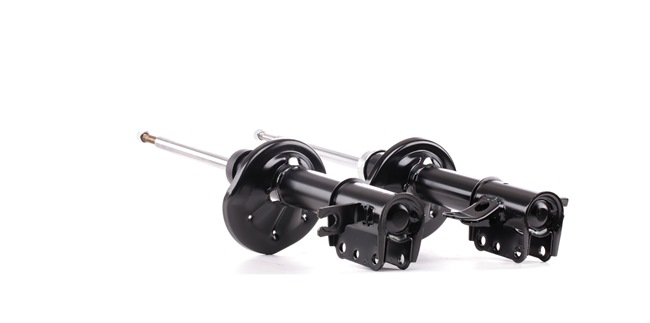 RIDEX 854S1793 Stoßdämpfer