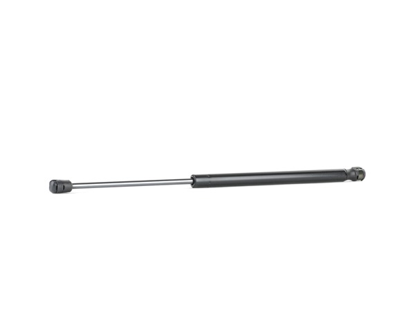 RIDEX 219G0404 Heckklappendämpfer