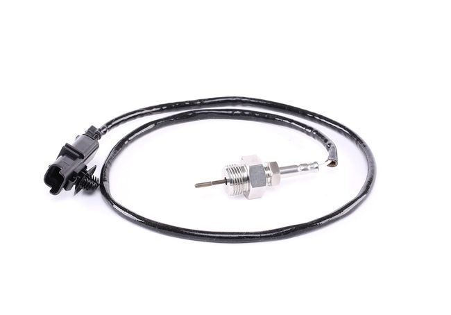 Interruptor térmico RIDEX 3938E0085