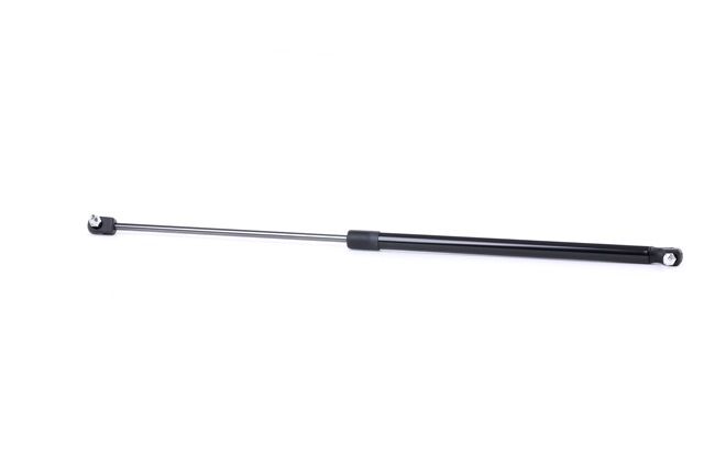 RIDEX 219G0546 Heckklappendämpfer