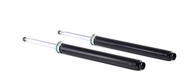 Dempere RIDEX 854S1672