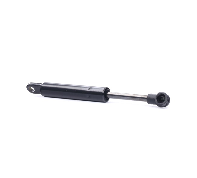 RIDEX 219G0670 Amortizor portbagaj
