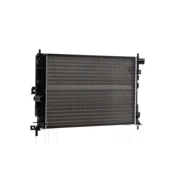 RIDEX 470R0393 Radiateur du moteur