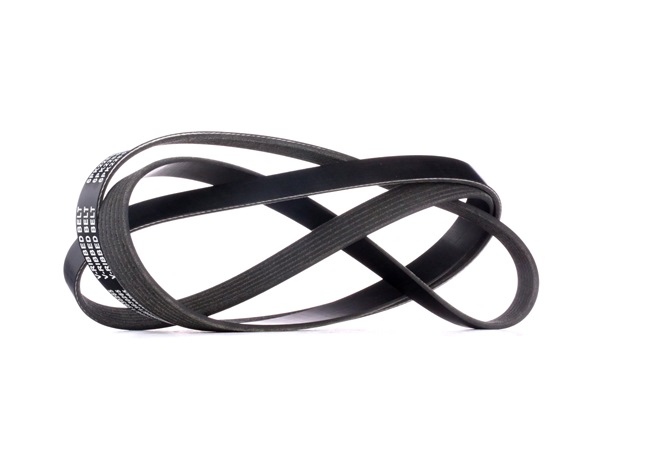 RIDEX 305P0216 Correa trapecial poli V