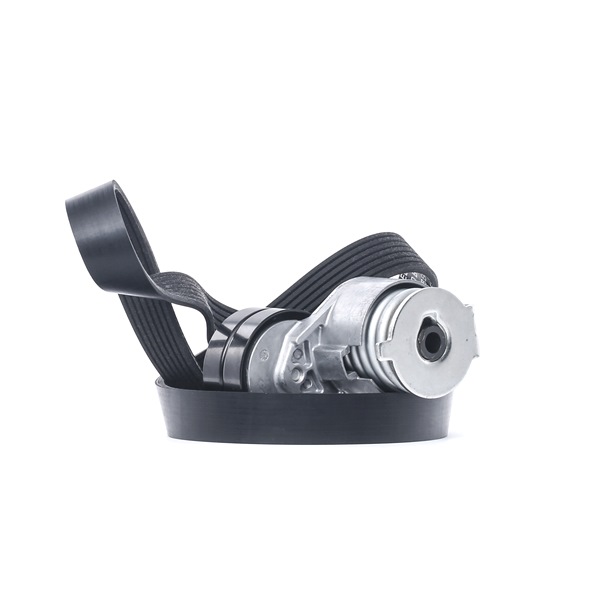 RIDEX 542R0029 Keilrippenriemensatz