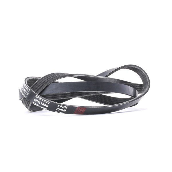 RIDEX 305P0366 Keilrippenriemen