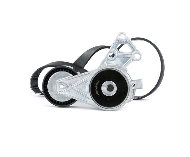 RIDEX 542R0045 Jogo de correias trapezoidais estriadas