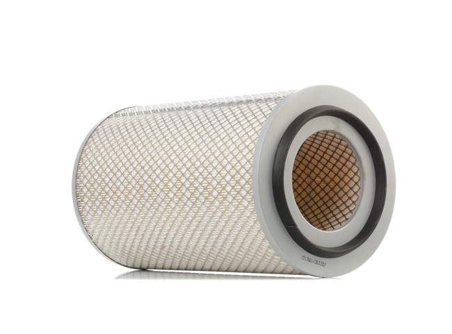 RIDEX 8A0601 Filtre à air