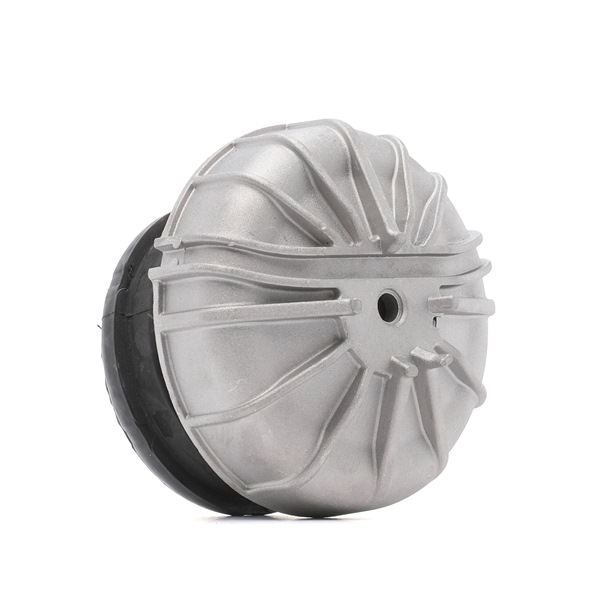 RIDEX 247E0116 Motorlager Motorlager 247E0116 RIDEX 6392410413 MERCEDES-BENZ