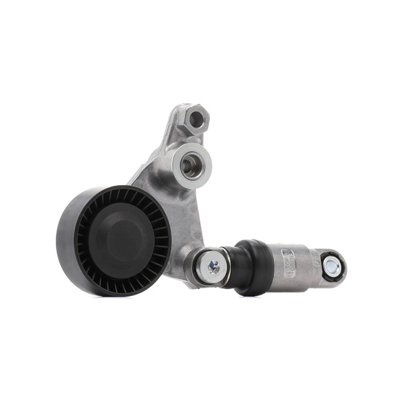RIDEX 310T0217 Poulie, tendeur de courroie d'accessoire Poulie, tendeur de courroie d'accessoire 7701 474 013 RIDEX 310T0217 OPEL, RENAULT, DACIA, SAAB, VAUXHALL