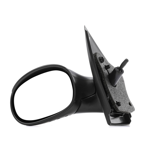13631455 Specchietto laterale RIDEX Citroën C2 costo