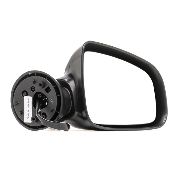 RIDEX 50O0306 Външно огледало