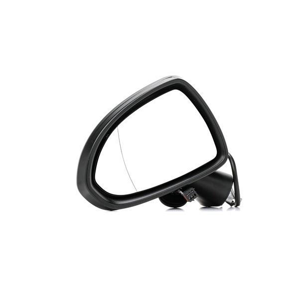 RIDEX 50O0330 Rétroviseur extérieur