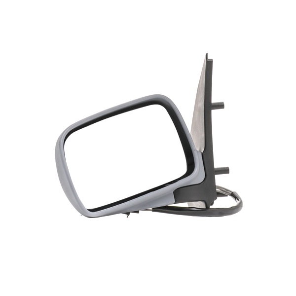 RIDEX 50O0343 Rétroviseur extérieur