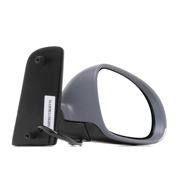 RIDEX 50O0376 Rétroviseur extérieur