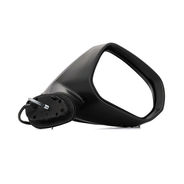 RIDEX 50O0455 Външно огледало
