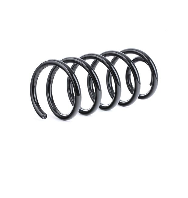 RIDEX 188C0464 Arc spiral