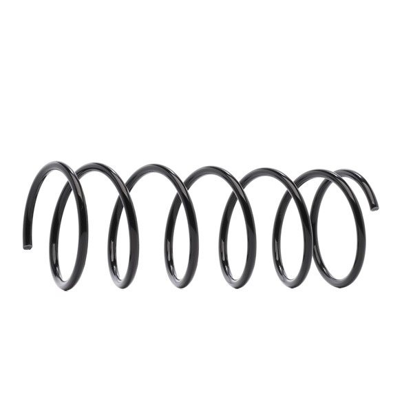 RIDEX 188C0474 Arc spiral