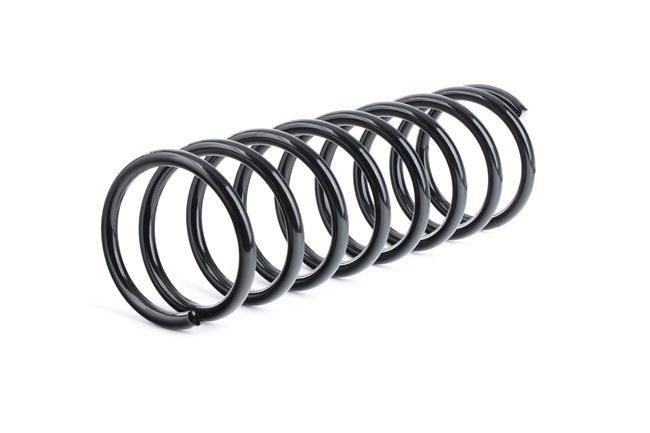 RIDEX 188C0480 Ressort de suspension