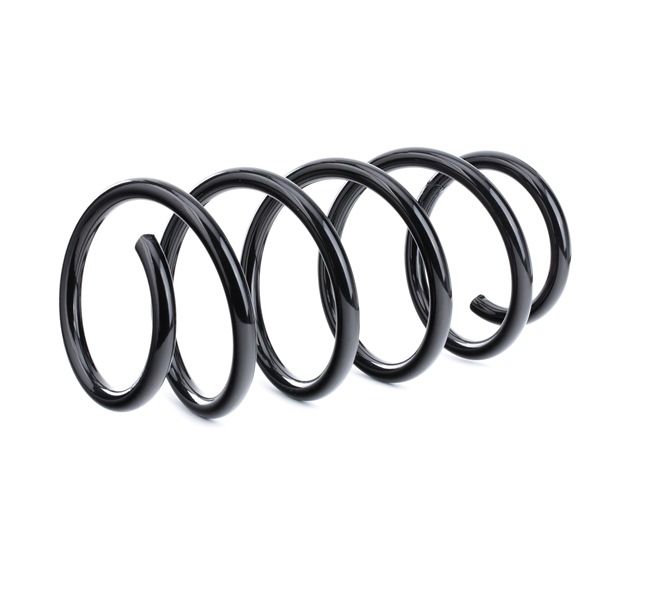RIDEX 188C0485 Ressort de suspension