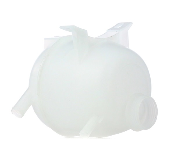 13635378 RIDEX 397E0119 Renault Megane DA Paisuntasäiliö hinta