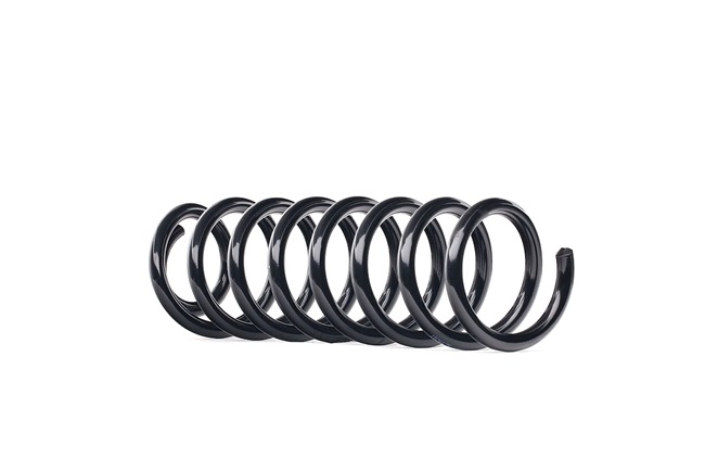 RIDEX 188C0548 Ressort de suspension