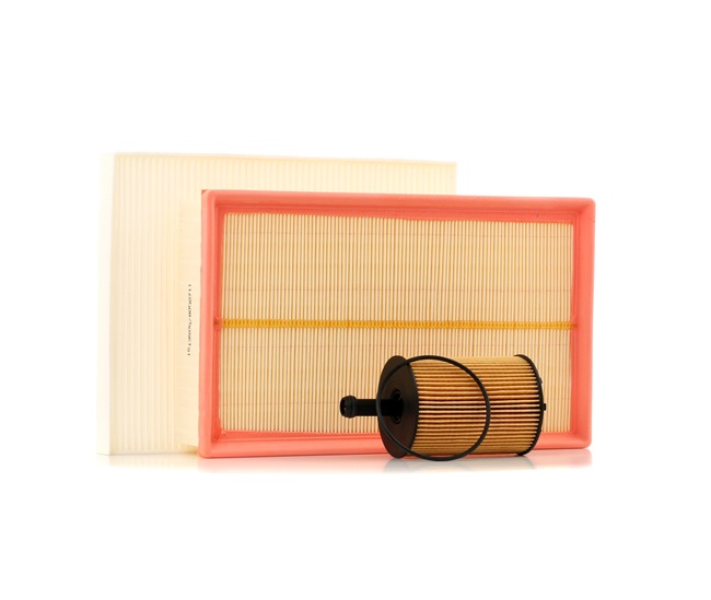 Filter kit RIDEX 4055F0101