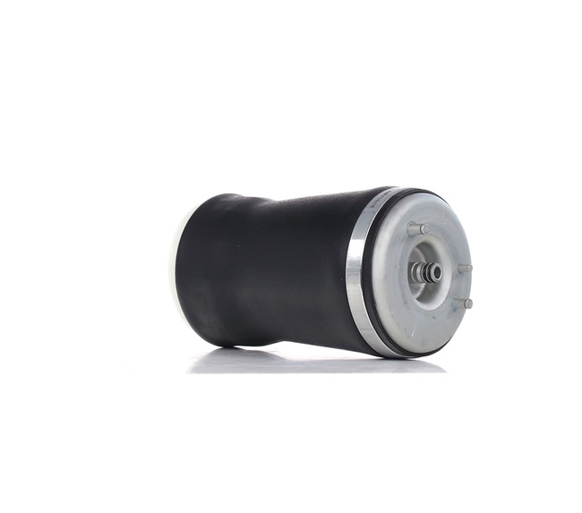 RIDEX 4119A0019 Ressort pneumatique
