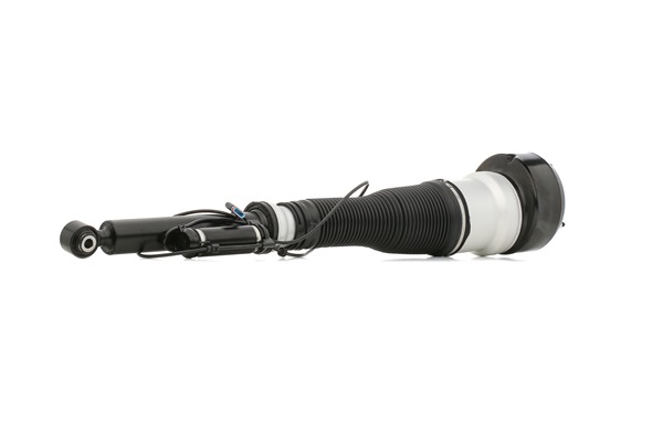 SKAST1860005 STARK Suspension pneumatique coût