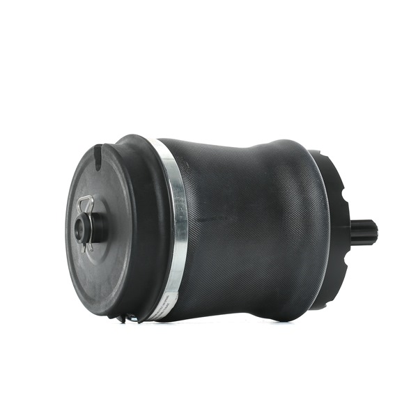Luftfeder, Fahrwerk 4119A0024 RIDEX RKB500080K LAND ROVER