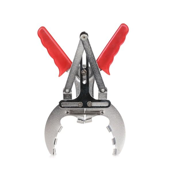 Pinza anello tenuta pistone