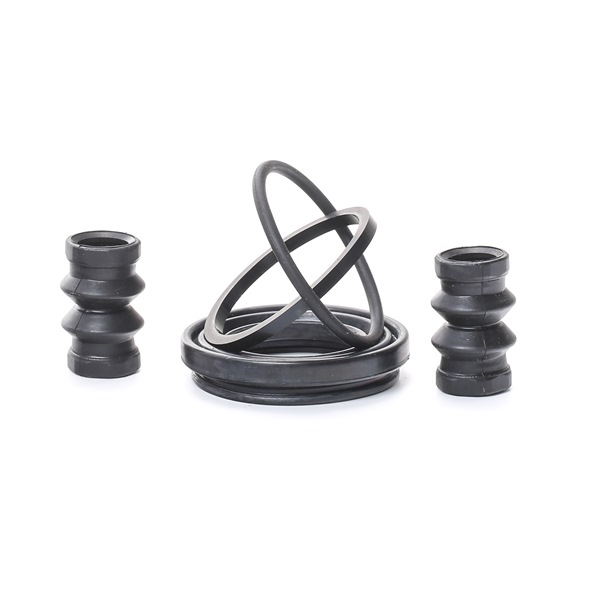 Kit revisione pinze freno RIDEX 405R0038