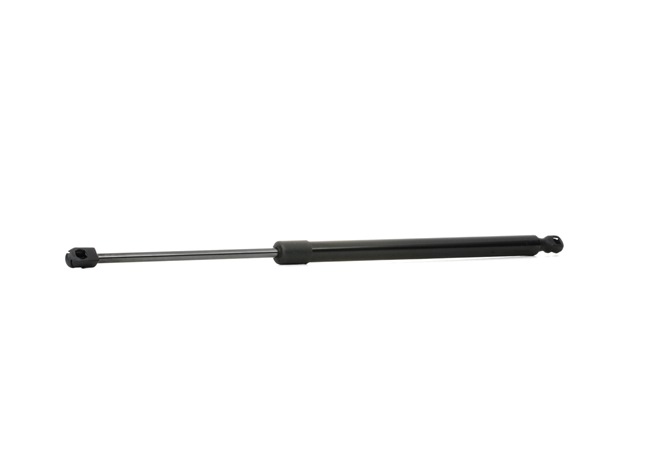RIDEX 219G0450 Heckklappendämpfer