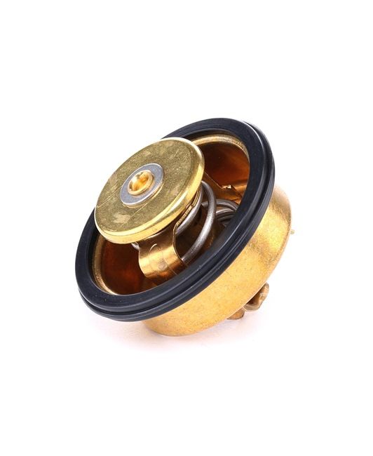 RIDEX 316T0141 Termóstato, líquido de refrigeração