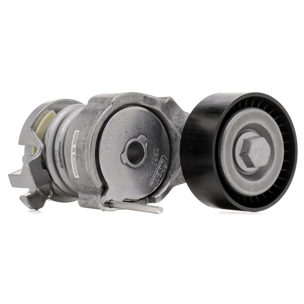 Poulie, tendeur de courroie d'accessoire 03D 903 305B SKF VKM31220 VOLKSWAGEN, AUDI, SKODA, SEAT