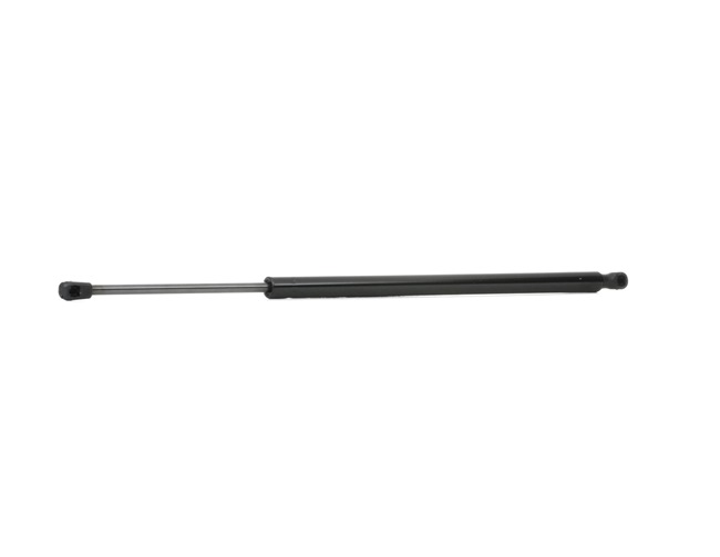 Tapa de maletero RIDEX 219G0693