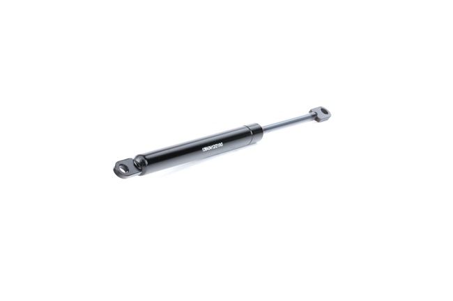 13643412 RIDEX 219G0700