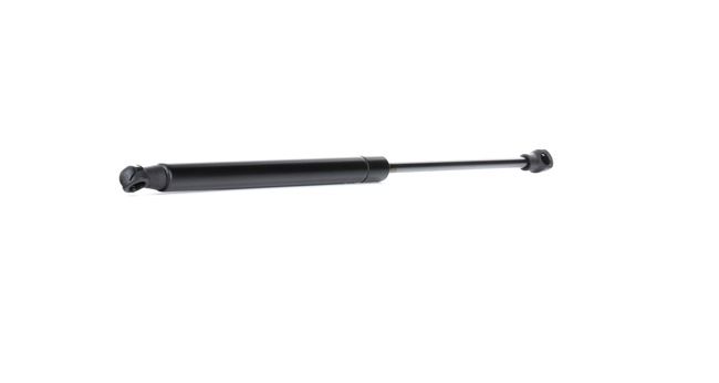 RIDEX 219G0773 Heckklappendämpfer