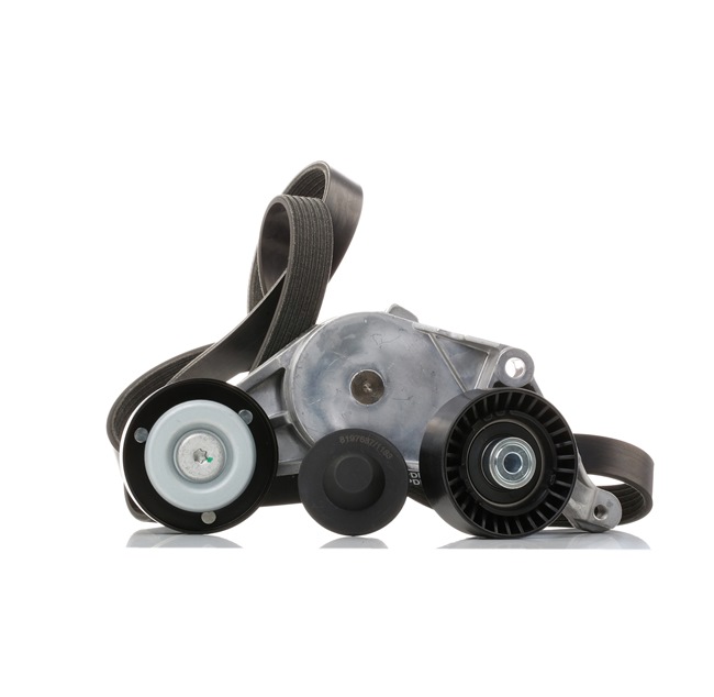 Accessoireriem RIDEX 542R0030
