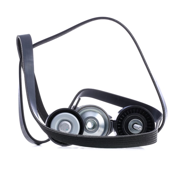 RIDEX 542R0046 Keilrippenriemensatz