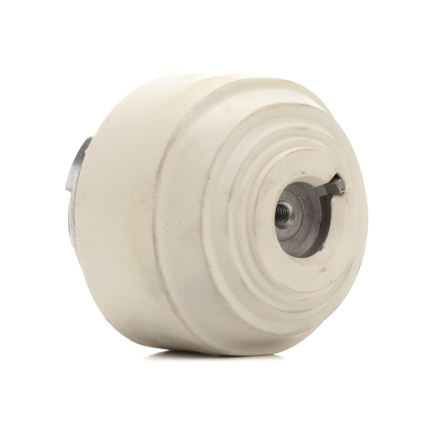 RIDEX 247E0368 Engine mount