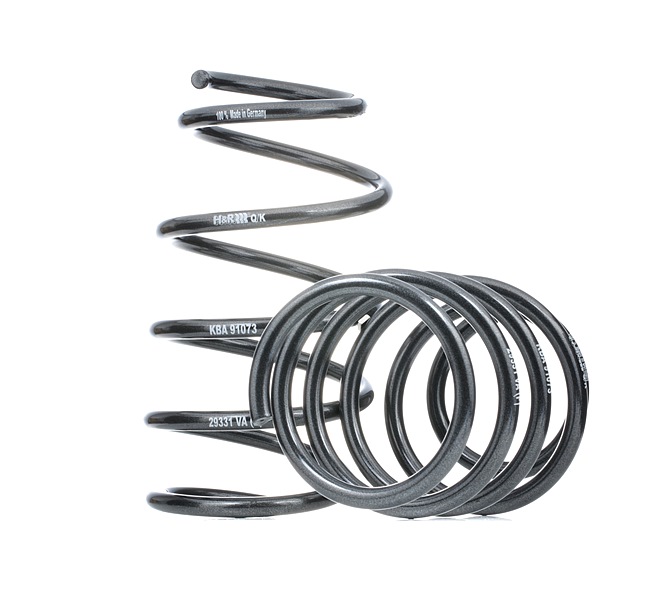13665776 H&R 293312 BMW E65 Spring kit
