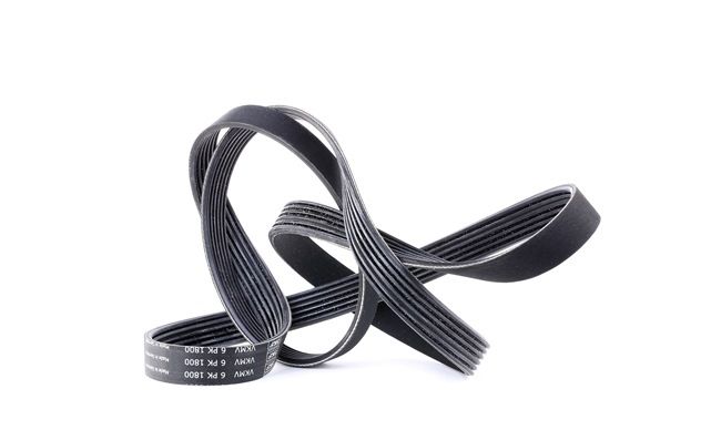 Ιμάντας poly-V SKF VKMV 6PK1800