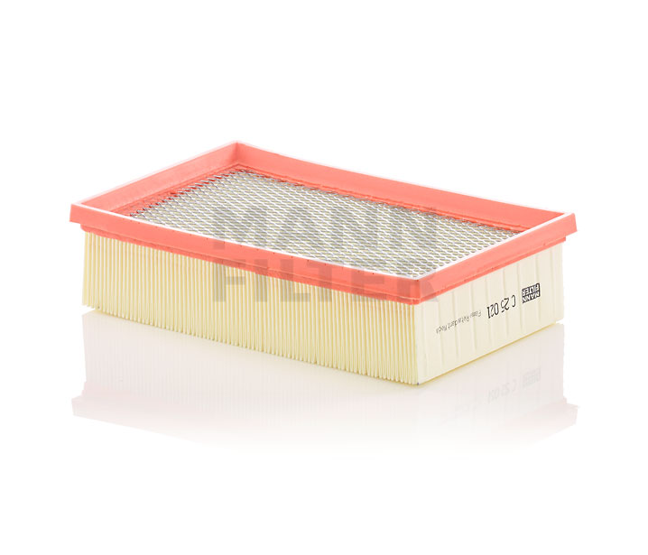 MANN-FILTER C 25 021 Luftfilter