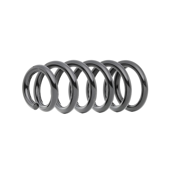 13809947 KYB RA1050 Mitsubishi Pajero IV Coil spring rear and front
