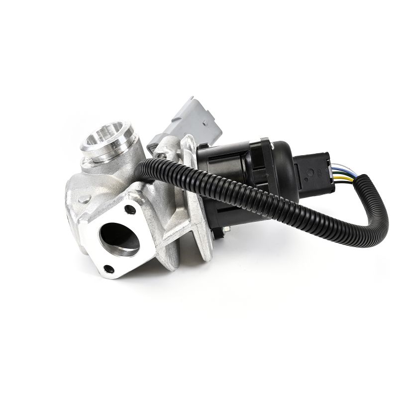 AGR-Ventil DELPHI EG10435-12B1 günstig online kaufen