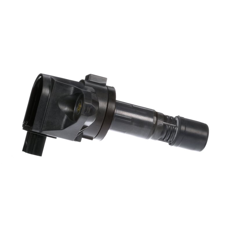 Ignition coil DELPHI GN10421-12B1 rangering